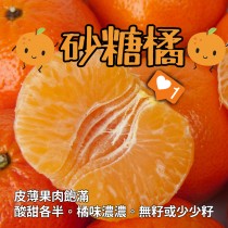 全台免運《明星商品新鮮到》 南非小巧可愛砂糖橘